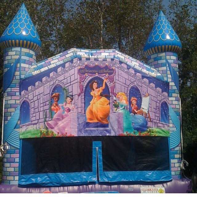 Wacky Castle Princess Panel